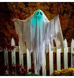 Evergreen Enterprises Animated Floating Ghost w/ Color-Changing Lights