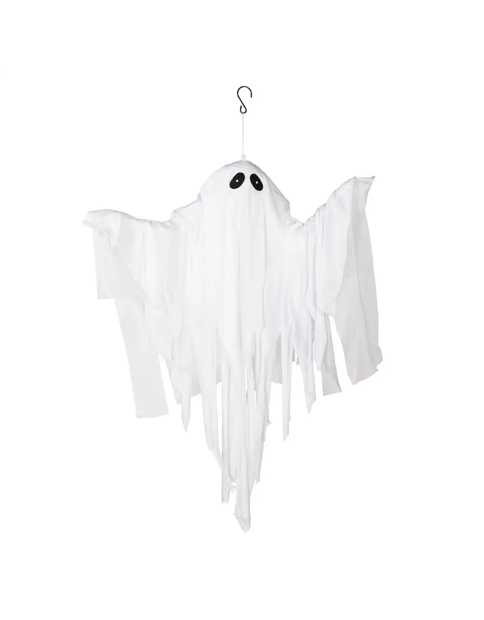 Evergreen Enterprises Animated Floating Ghost w/ Color-Changing Lights