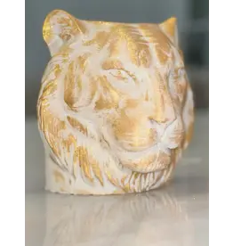 Boujee Nola Coquette Boujee Bengal Tiger -18oz