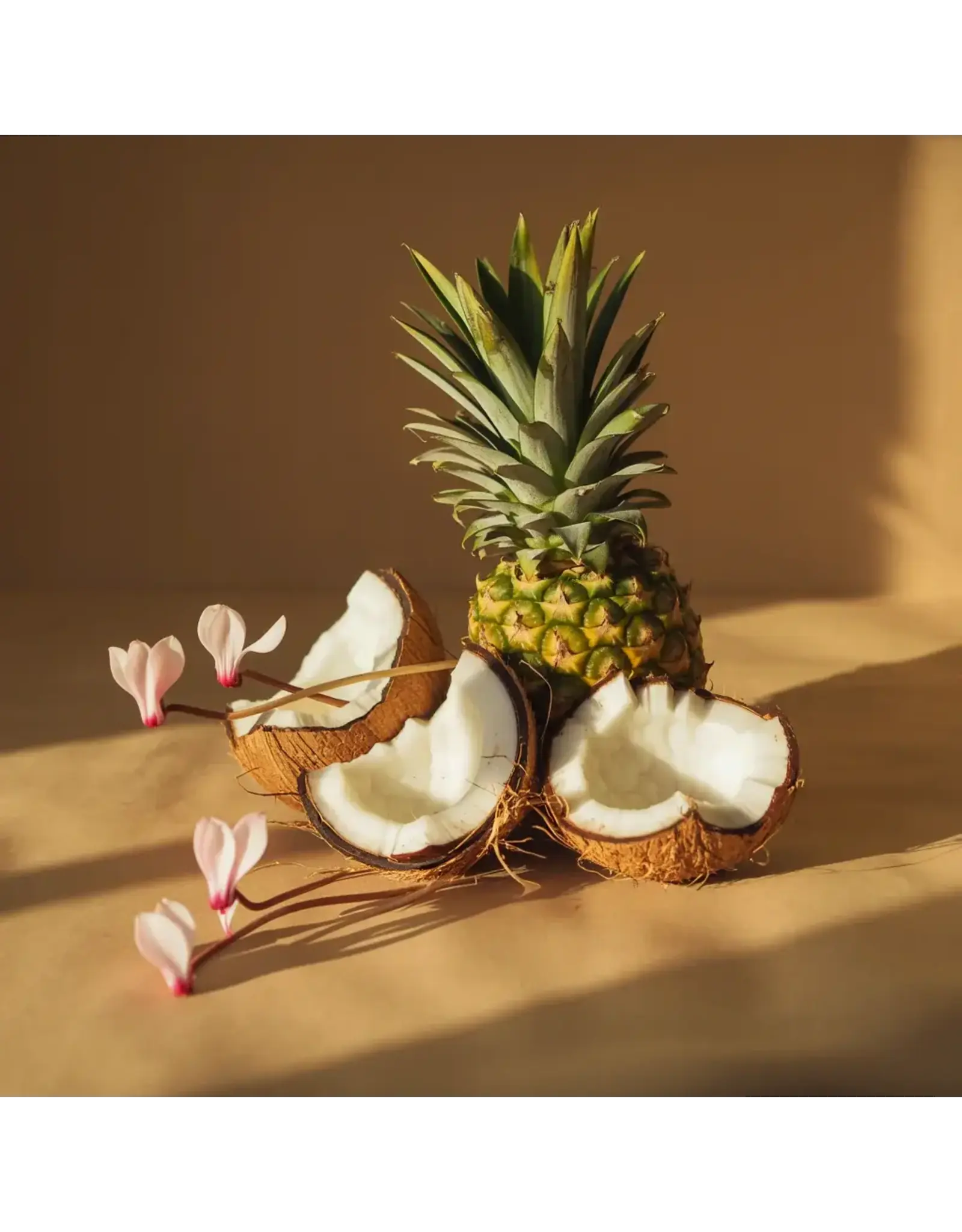 Pura Hawaii Pura Diffuser Refill