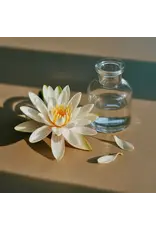 Pura Water Lily Pura Diffuser Refill