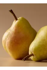 Pura Maple & Pear Pura Diffuser Refill