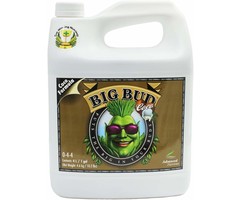 Advanced Nutrients Advanced Nutrients Big Bud Coco 4L