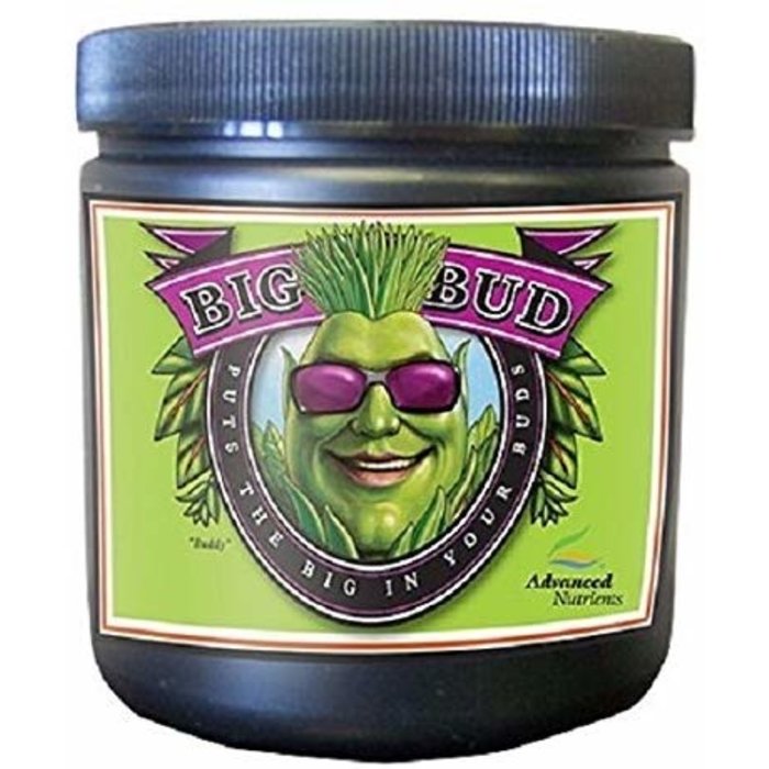 Advanced Nutrients Advanced Nutrients Big Bud Powder 500g