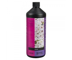 BCuzz BCuzz Bloom Quart (12/Cs)