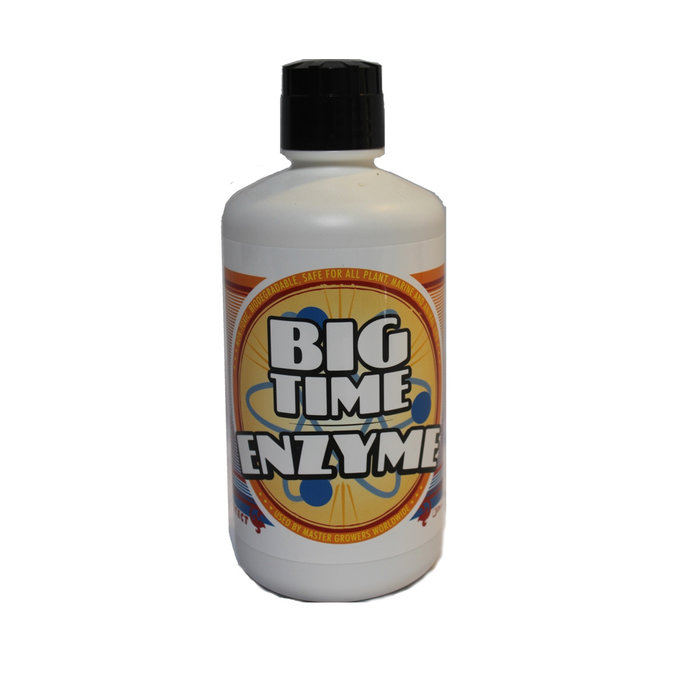 Big Time Hydroponics Big Time Enzyme Qt (16/cs)