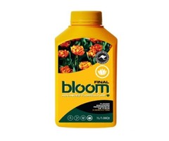 Yellow Bottles Bloom Yellow Bottle Final 1L