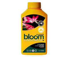 Bloom Yellow Bottle Flower A 15L