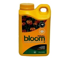 Bloom Yellow Bottle Flower A 2.5L