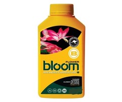 Bloom Yellow Bottle Flower B 15L