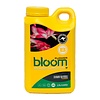 Bloom Yellow Bottle Flower B 2.5L
