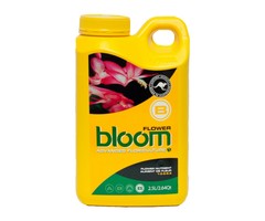 Bloom Yellow Bottle Flower B 2.5L