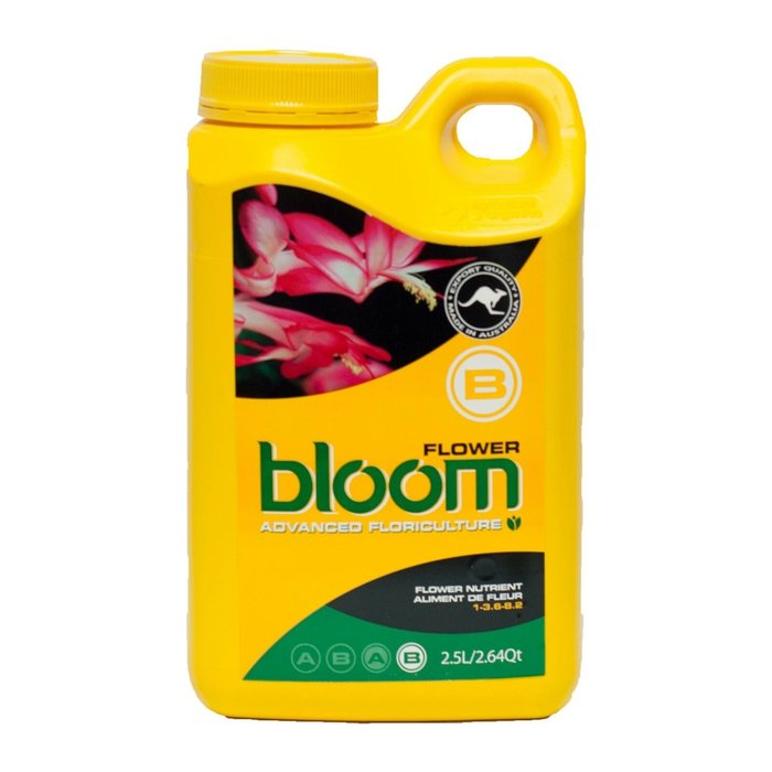 Bloom Yellow Bottle Flower B 2.5L