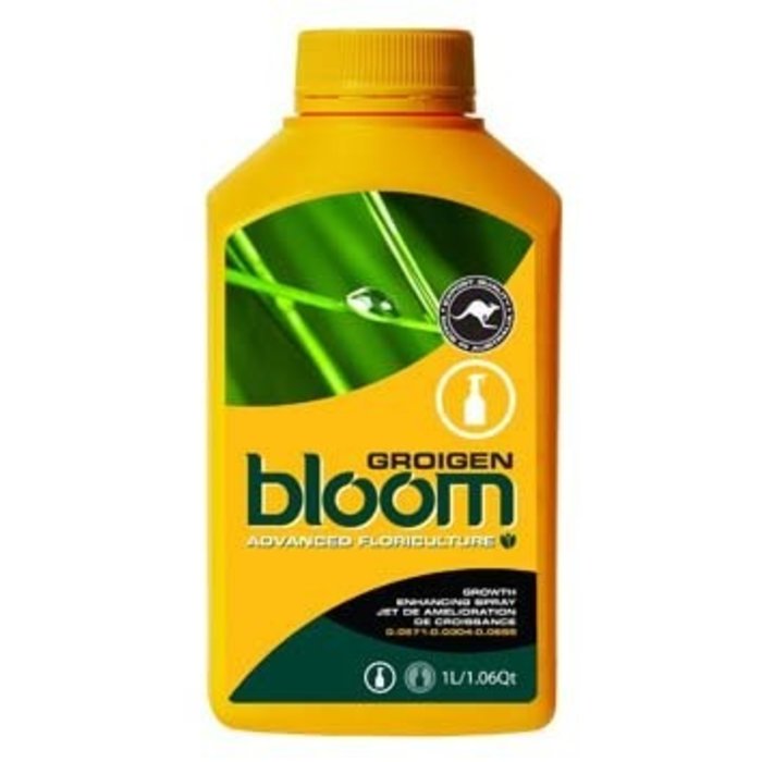 Yellow Bottles Bloom Yellow Bottle Groigen 1L