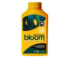 Yellow Bottles Bloom Yellow Bottle Seafuel 1L