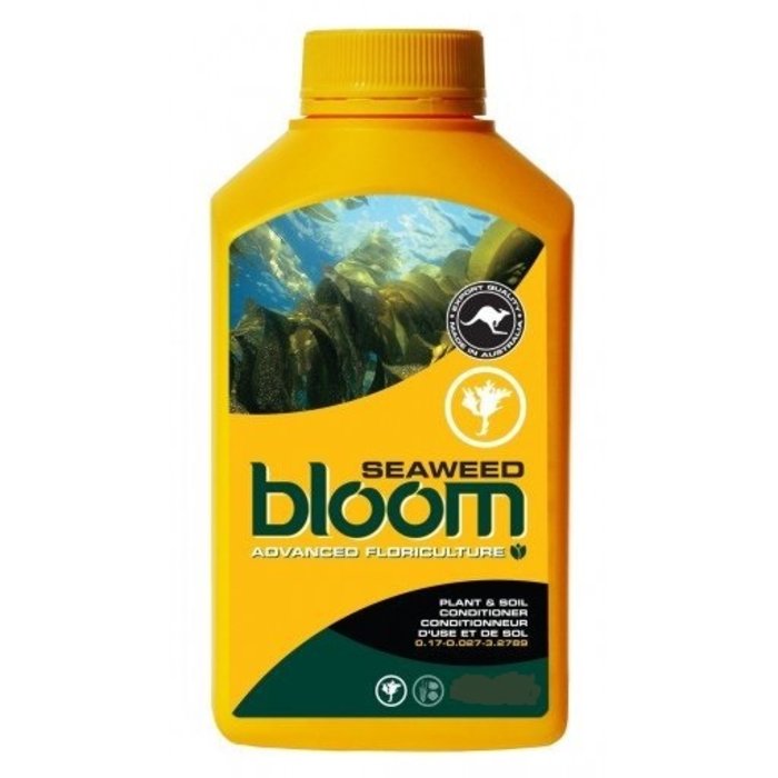 Bloom Yellow Bottle Seaweed 15L