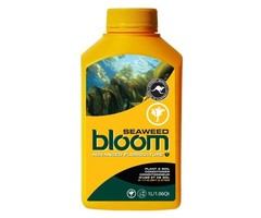 Yellow Bottles Bloom Yellow Bottle Seaweed 1L