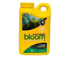 Bloom Yellow Bottle Seaweed 2.5L