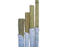 BWI BWI Bamboo Sticks 6ft 200per pack