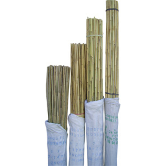 BWI BWI Bamboo Sticks 6ft 200per pack