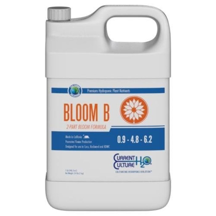 Cultured Solutions Cultured Solutions Bloom B Quart (12/Cs)