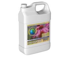 Cultured Solutions Cultured Solutions Bud Booster Early Quart (12/Cs)