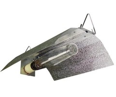 Sun System Power and Lamp Cord Econo Wing Reflector (72/Plt)