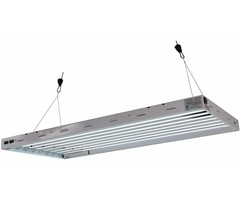 Sun Blaze & Solar Flare Sun Blaze T5 HO 44 - 4 ft 4 Lamp - 120 Volt