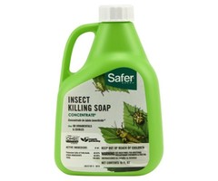 Safer Safer Insect Killing Soap Concentrate, 16 oz