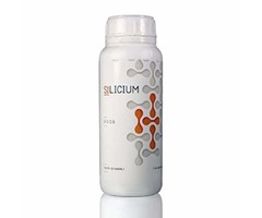 Silicium 500ML