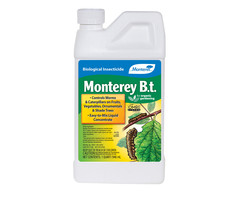 Monterey Monterey Garden B.t., 1 qt