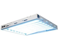 Sun Blaze & Solar Flare Sun Blaze T5 HO 28 - 2 ft 8 Lamp - 120 Volt