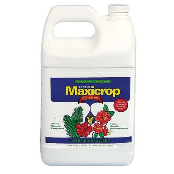 Maxicrop Maxicrop Plus Iron Gallon (6/Cs)
