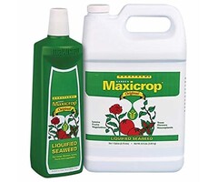 Maxicrop Maxicrop Original Liquid Seaweed 2.5 Gallon (2/Cs)