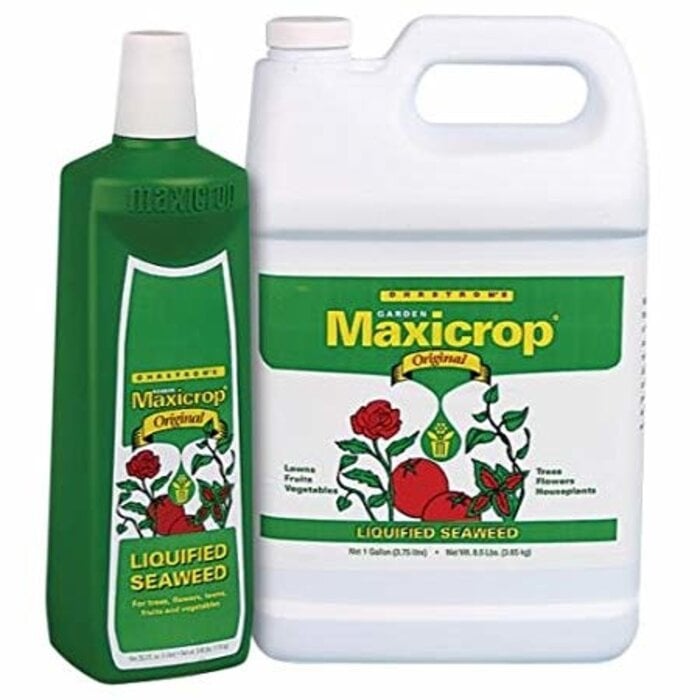 Maxicrop Maxicrop Original Liquid Seaweed 2.5 Gallon (2/Cs)