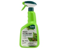 Safer Safer Insect Killing Soap w/ Seaweed Extract II RTU Quart (6/Cs)