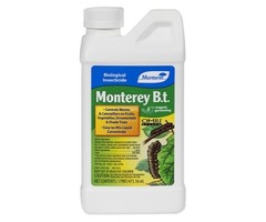 Monterey Monterey Garden B.t., 1 pt