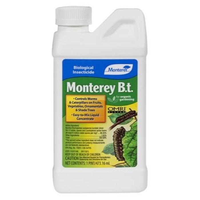 Monterey Monterey Garden B.t., 1 pt