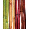 BWI Bamboo Sticks 5ft 250 Per Pack