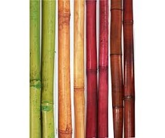 BWI Bamboo Sticks 5ft 250 Per Pack