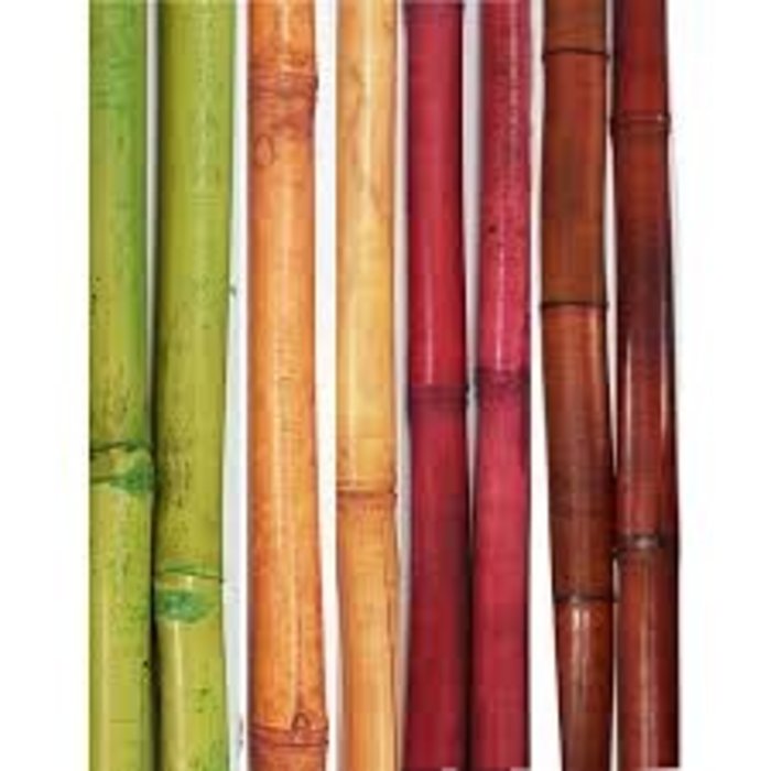 BWI Bamboo Sticks 5ft 250 Per Pack