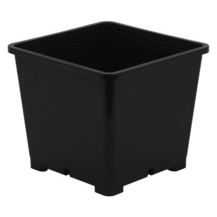 Gro Pro Gro Pro Premium Black Square Pot 8 in x 8 in 7.5 in (100/Cs)