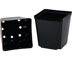 Gro Pro Gro Pro Square Plastic Pot 5.5 in x 5.5 in x 6 in (200/Cs)