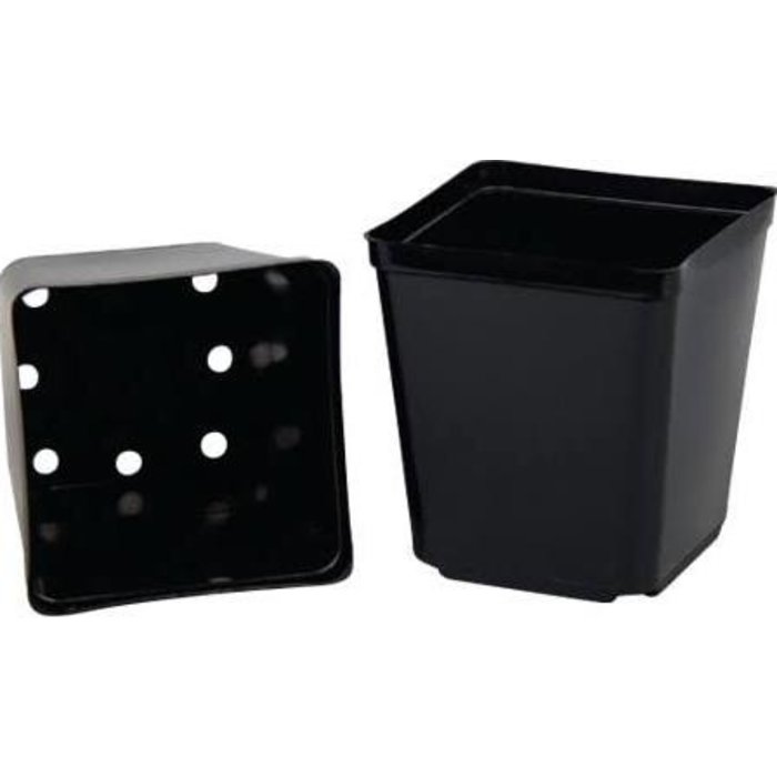 Gro Pro Gro Pro Square Plastic Pot 5.5 in x 5.5 in x 6 in (200/Cs)