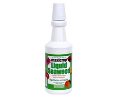 Maxicrop Maxicrop Original Liquid Seaweed Quart (12/Cs)