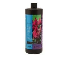 BCuzz BCuzz Blossom Builder Quart / 946 ml (12/Cs)
