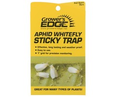 Growers Edge Grower's Edge Aphid Whitefly Sticky Trap 5/Pack (80/Cs)