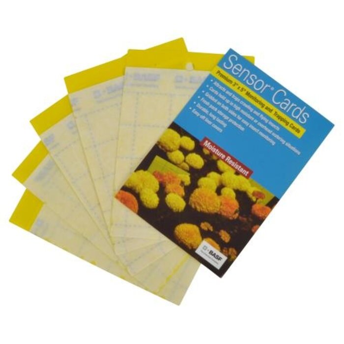 Whitmire Sensor Cards Yellow Monitoring and Trapping Cards 50/Pack (15/Cs)