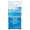 Seabright Sticky Thrip Leafminer Trap 5/Pack (80/Cs)