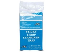 Seabright Sticky Thrip Leafminer Trap 5/Pack (80/Cs)